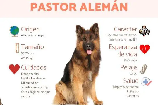 ADVANCE Pastor Aleman 12 Kg pienso para perros